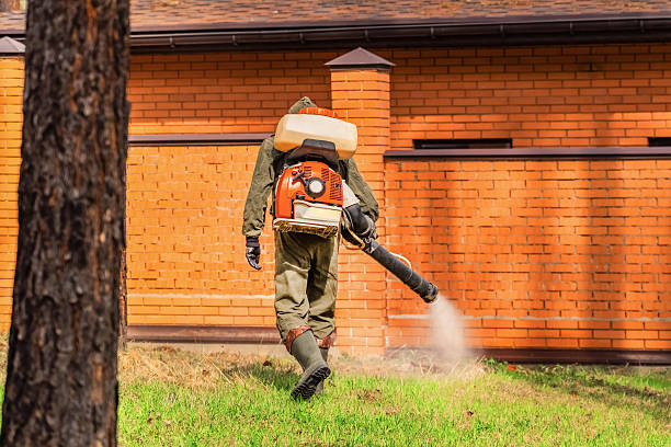 Bed Bug Clearance Verification and Documentation in Wynne